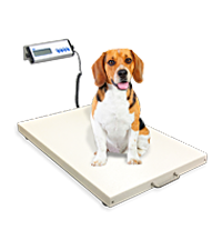 Floor Scales photo