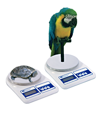 Gram Scale photo