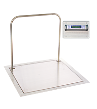Dialysis Scales