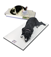 Table Top and Mobile Scales photo