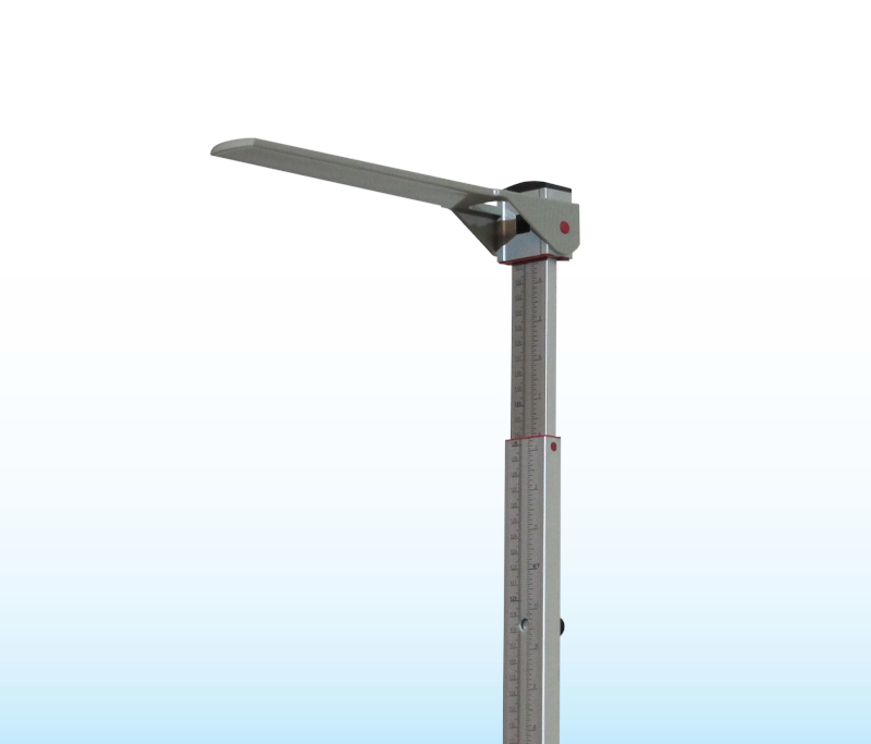 SR8591 Scale